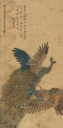  孔雀 立轴 绢本