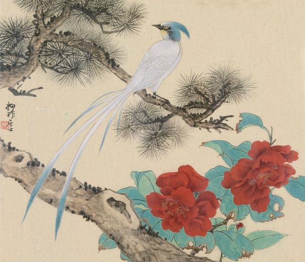  花鸟 镜框 纸本