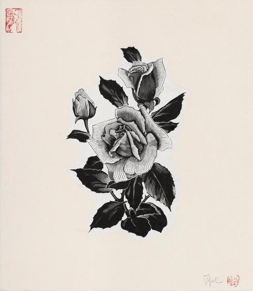  1957年作 绽放的月季 纸本 木口木刻