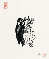  1980年作 啄木鸟 纸本 木口木刻