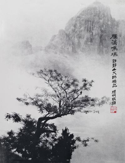  雁荡鸣鸠 相纸 摄影