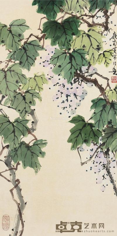 葡萄 镜片 设色纸本 83×41cm