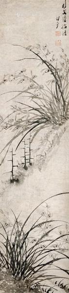  兰花 立轴 纸本