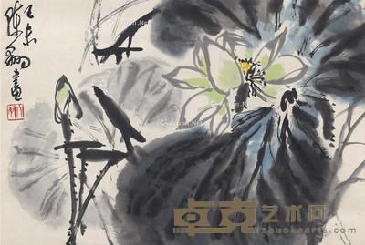  1979年作 荷花图 镜片 设色纸本 67.5×45.5cm