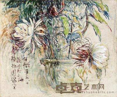  1987年作 植物园花卉 布面油画 48×58cm
