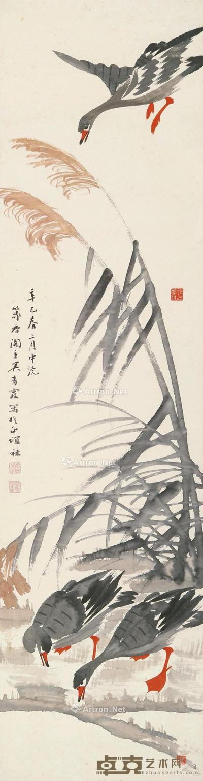 芦雁 立轴 设色纸本 132×34cm