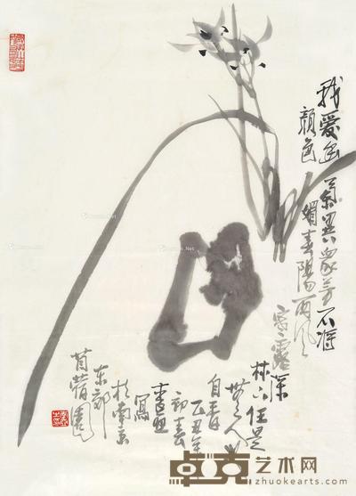 兰花 镜片 水墨纸本 68×47cm