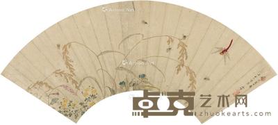 花草蜻蜓图 扇页 设色纸本 48×16cm