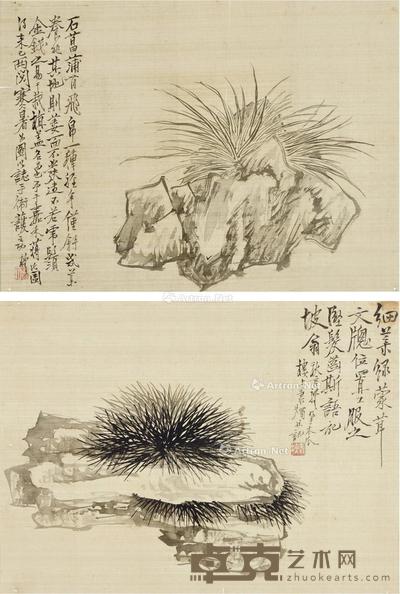 菖蒲图 (二帧) 镜片 绢本 长33×宽24cm×2