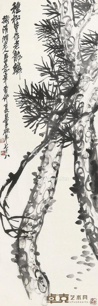  松 立轴 纸本 138×45cm