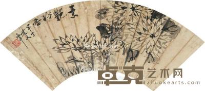  菊花 扇面 镜片 纸本 14×40cm