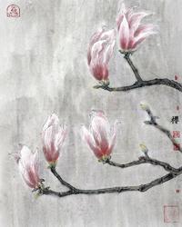  2017年作 此花不在心之外 镜框 设色纸本
