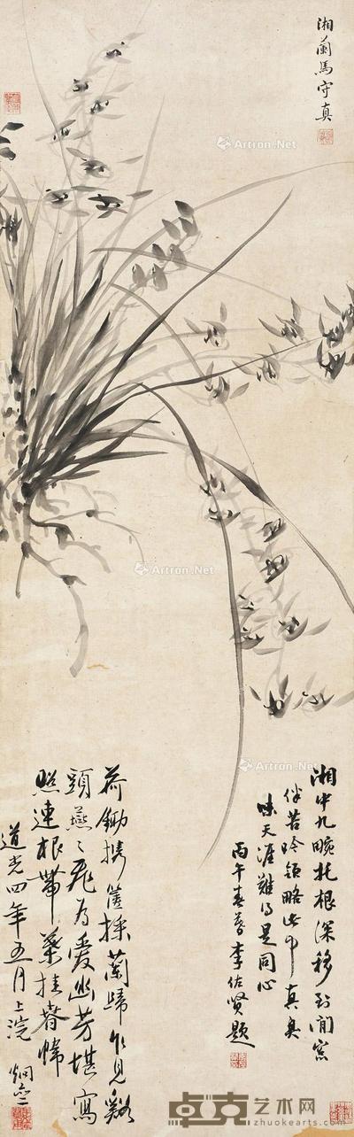  兰草 立轴 水墨纸本 89.5×28cm