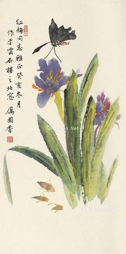  花卉 镜心 设色纸本