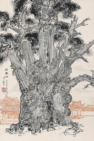  将军柏 镜心 设色纸本