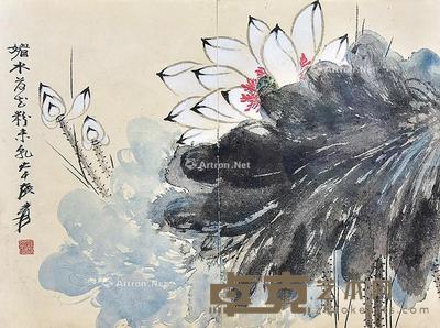 荷花 镜框 纸本 34×45cm