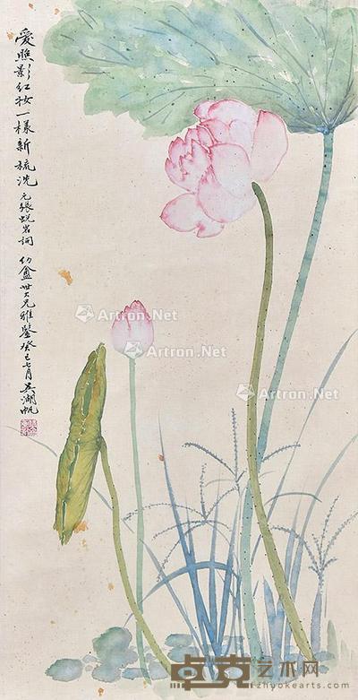 荷花 立轴 纸本 64×32cm