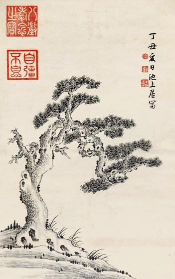  松树 立轴