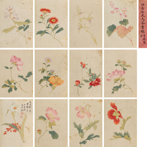  戊戌（1718年）作 花卉册 册页 （十二开） 设色纸本