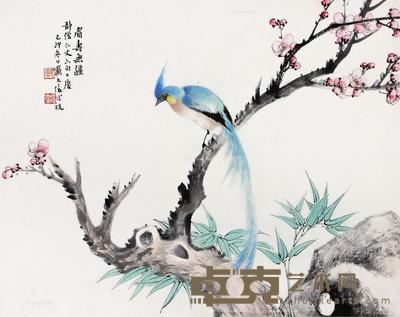 花鸟 册页片 设色纸本 33×43cm