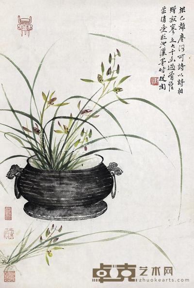  兰 纸片 设色纸本 46×68cm