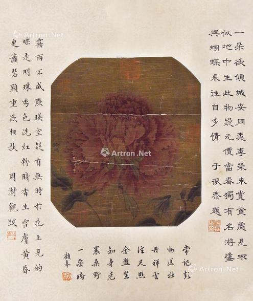  牡丹 片 绢本