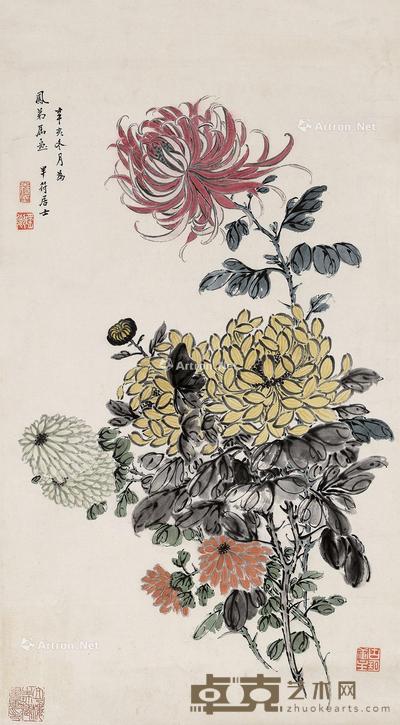  菊花 立轴 纸本 63×35cm