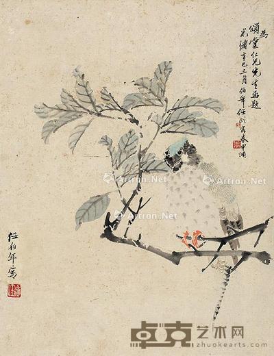 松枝 镜片 设色纸本 52×40cm