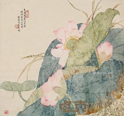  荷花 镜片 设色纸本 32×35cm