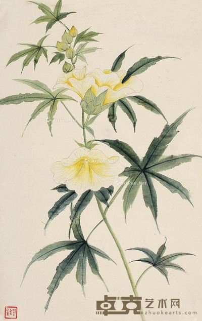 秋葵 镜片 纸本 75×24cm