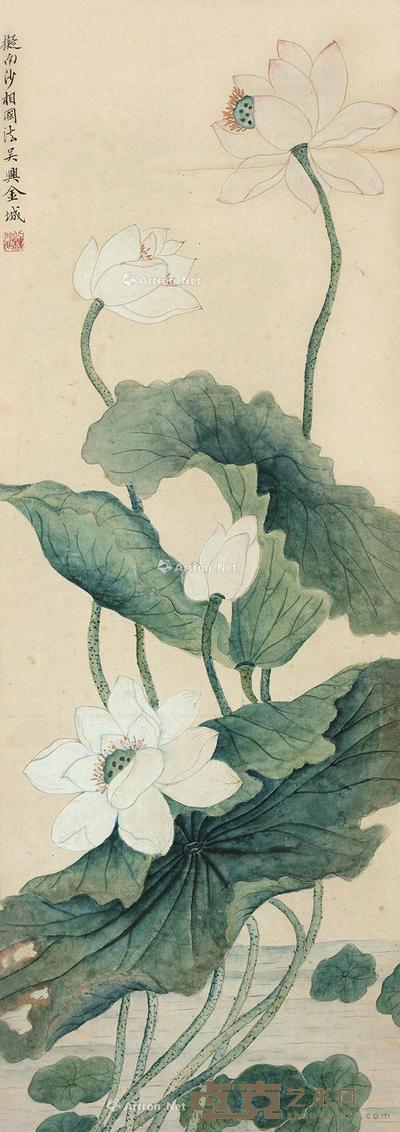  白荷 立轴 设色纸本 89×31cm