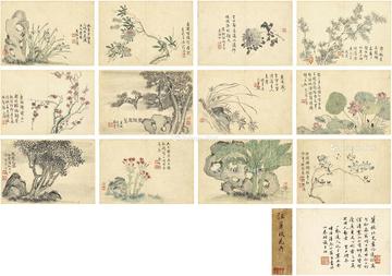  花卉册 册页 （共十三页） 设色纸本