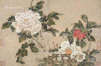 牡丹 立轴 设色纸本 44×66cm