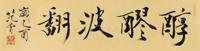  2005年作 行书“醇醪波翻” 镜心 水墨纸本