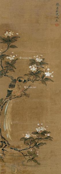  花鸟 立轴 设色纸本