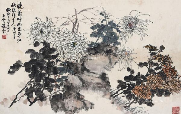  菊石图 镜框 纸本