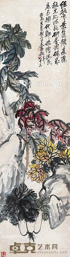 菊石 立轴 纸本 141×38cm