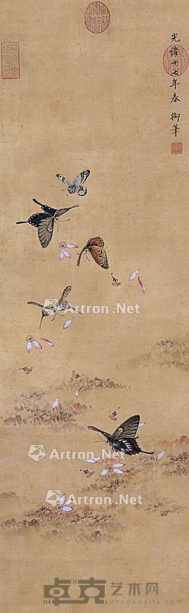  蝴蝶 镜片 纸本 84×36cm