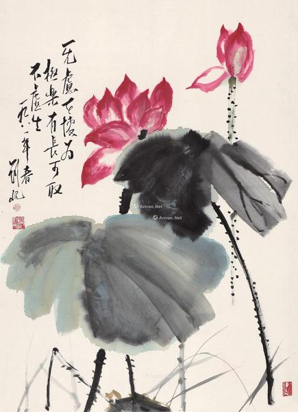  1981年作 荷花 纸本设色