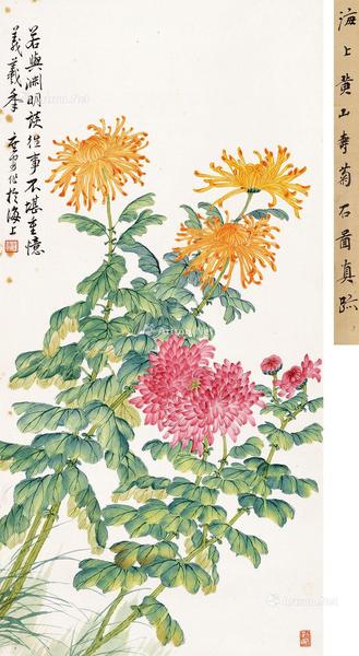  花卉 立轴 设色纸本