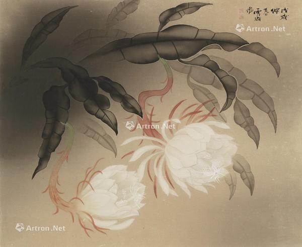  1958年作 昙花 镜框 水墨设色绢本