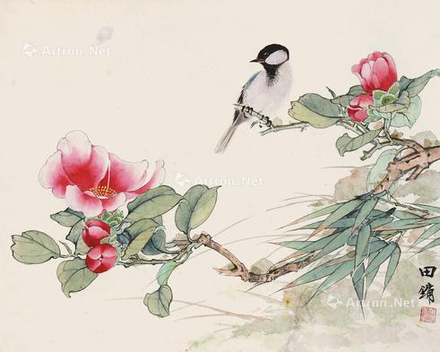  茶花小鸟 立轴 纸本