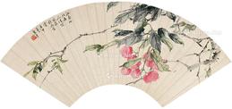  荔枝 扇面 纸本
