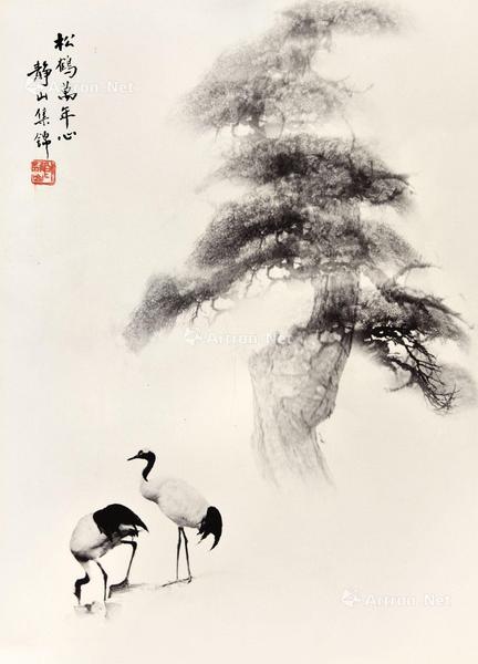  签名摄影照片“松鹤万年心” 银盐照片