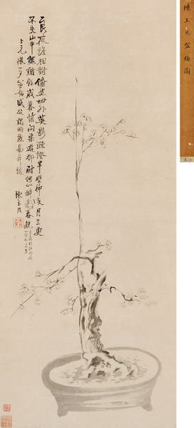  盆梅图 立轴 水墨纸本