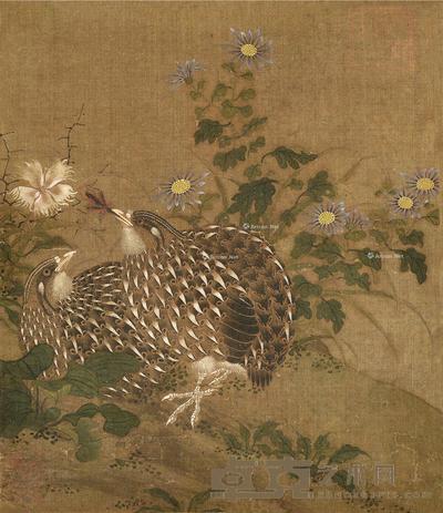 丛菊双鹌图 册页片 设色绢本 24.5×21cm