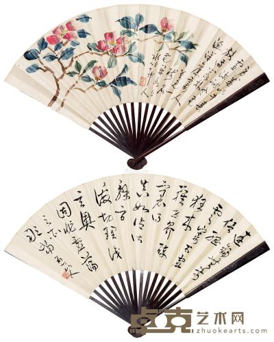  山茶 成扇 设色纸本 18.5×48cm