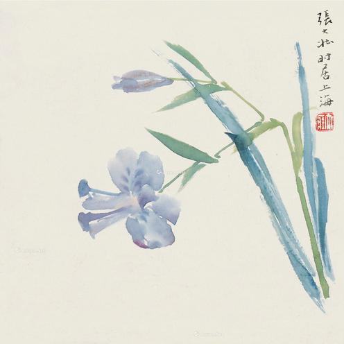  鸢尾花 册页片 设色纸本