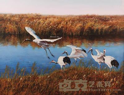  鹤乡 布面油画 40×52cm