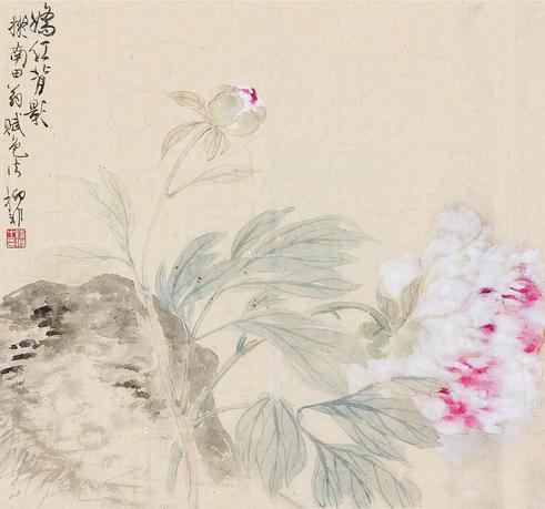  牡丹 镜片 纸本